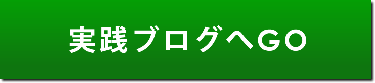 ハイローオーストラリア初心者の実践記録